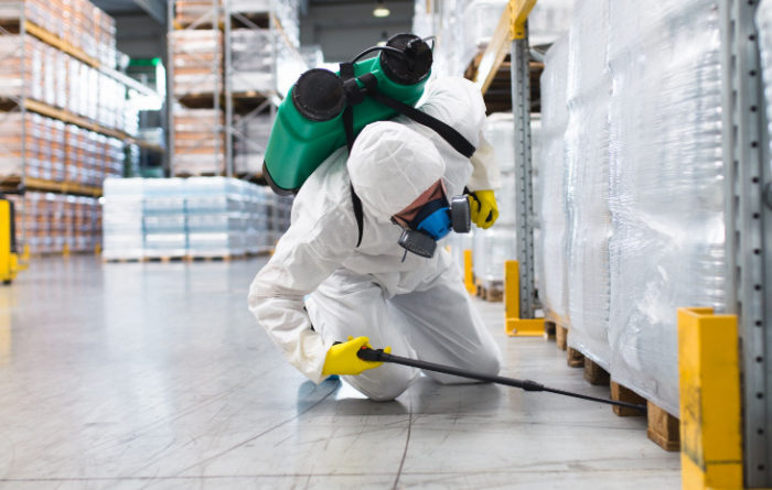 Can termites spread through clothes?