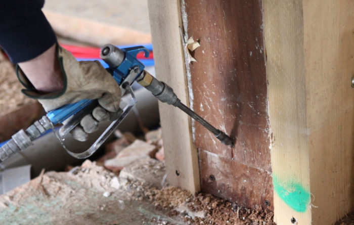 How do you stop termites from spreading?