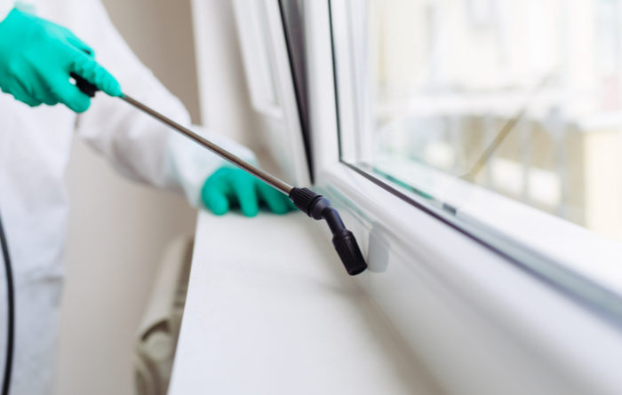 Are Windows Left Open During Fumigation?