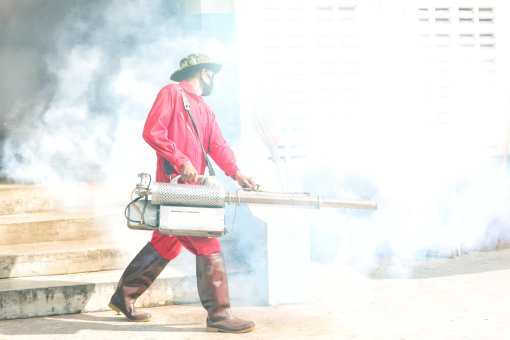 How Long Should You Stay Out of House After Fumigation 