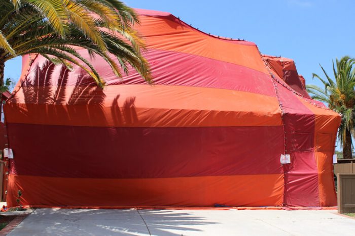 florida tent fumigation