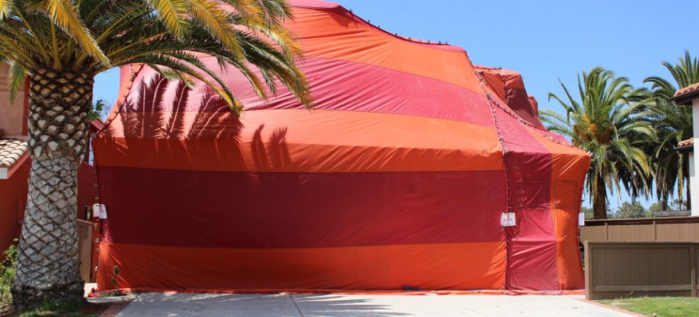 florida tent fumigation