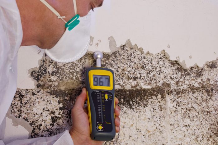 Is Termite Protection Plan Worth it