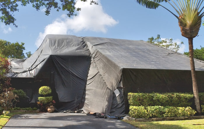 How Long After Termite Fumigation Is It Safe To Return Home?