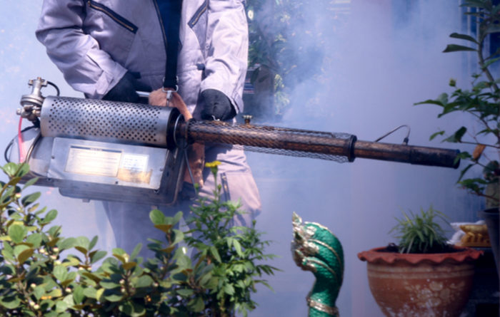 How Long Does Fumigation Smell Last?
