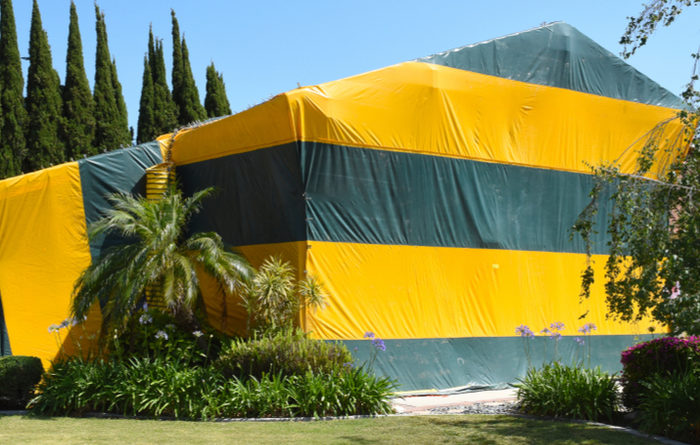 Is It Dangerous To Live Next To A Tented House?