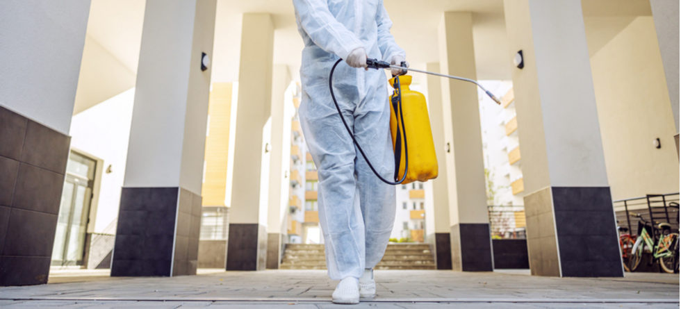 When Should I Fumigate My House?