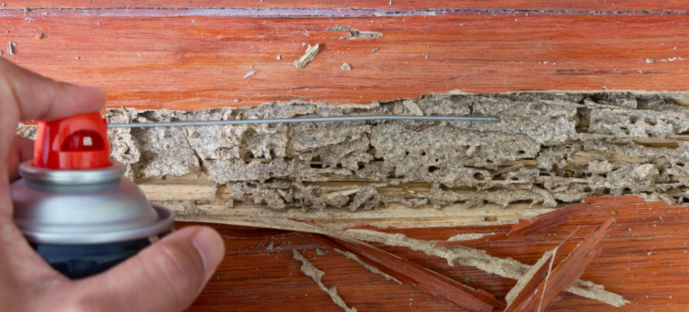 What can I spray on wood to keep termites away?