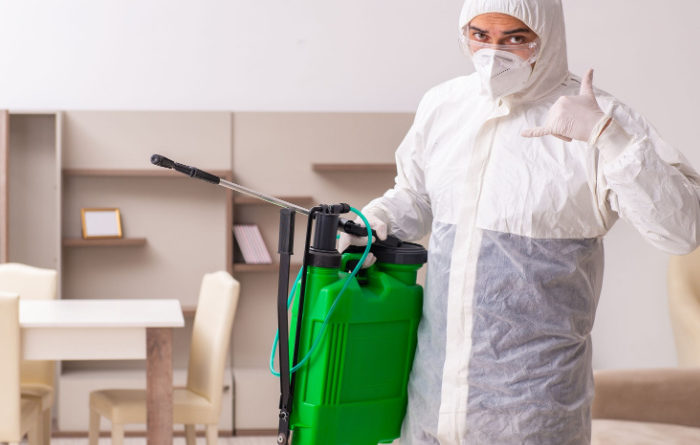 When should I call an exterminator for termites?